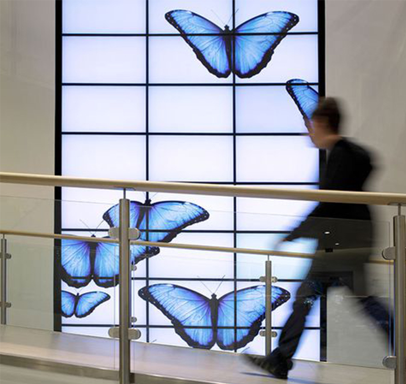 Videowall(大)